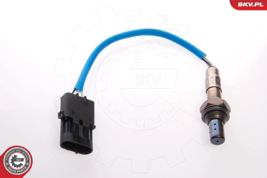 Oxygen Sensor